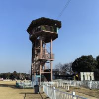 評論圖片 7