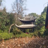 評論圖片 2