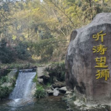 評論圖片 2