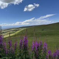 評論圖片 3