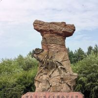 評論圖片 5