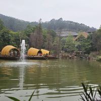 評論圖片 1