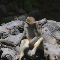 評論圖片 9