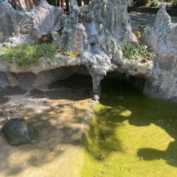 評論圖片 3