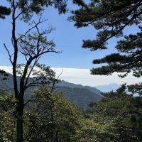 評論圖片 2