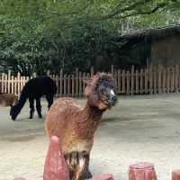 評論圖片 5