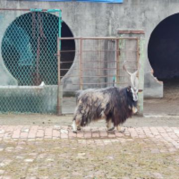 評論圖片 4