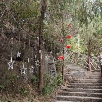 評論圖片 2