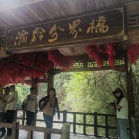 評論圖片 6