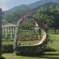 評論圖片 9
