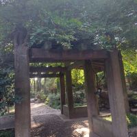 評論圖片 6