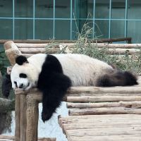 評論圖片 5