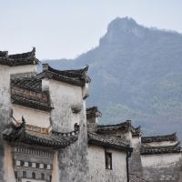評論圖片 5