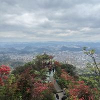 評論圖片 1