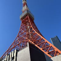 評論圖片 1