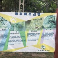 評論圖片 6