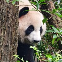 評論圖片 3