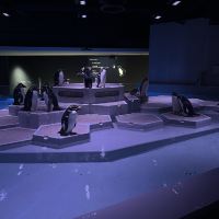 評論圖片 8