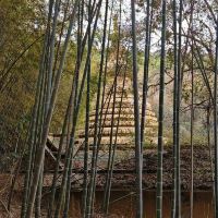 評論圖片 6