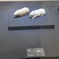 評論圖片 5