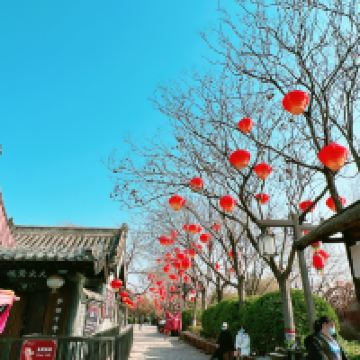 評論圖片 7