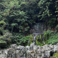 評論圖片 2
