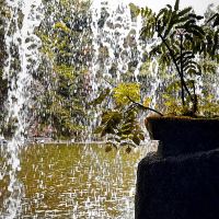 評論圖片 5
