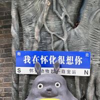 評論圖片 3