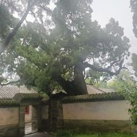 評論圖片 5