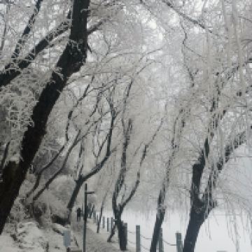 評論圖片 1