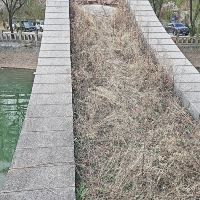 評論圖片 3