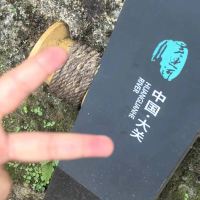 評論圖片 5