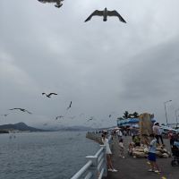 評論圖片 7