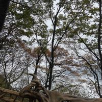 評論圖片 8