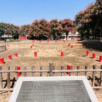評論圖片 8