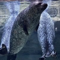 評論圖片 7