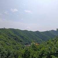 評論圖片 3