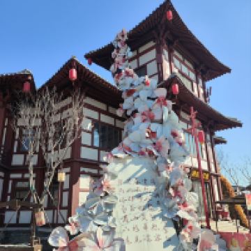 評論圖片 6