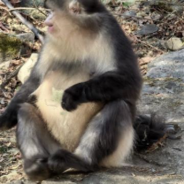 評論圖片 8