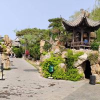 評論圖片 4