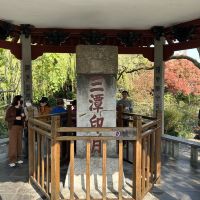 評論圖片 4