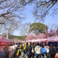 評論圖片 3