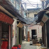 評論圖片 1