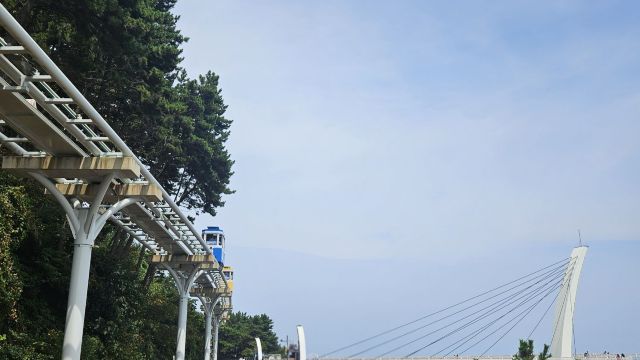 review picture