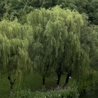 評論圖片 4