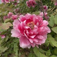 評論圖片 6