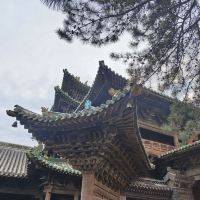 評論圖片 5