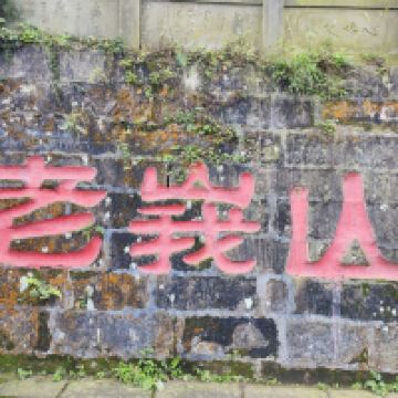 評論圖片 6