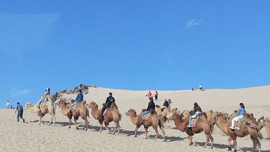 帶着孩子第一次騎駱駝，感覺非常新奇，體驗非常好，沙漠景色也非