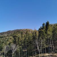 評論圖片 4